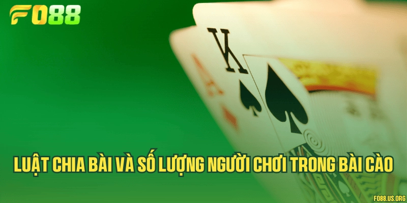 Luật chia bài và số lượng người chơi trong bài cào